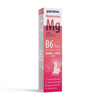 Paira Magneesium 375mg+B6 5mg N20