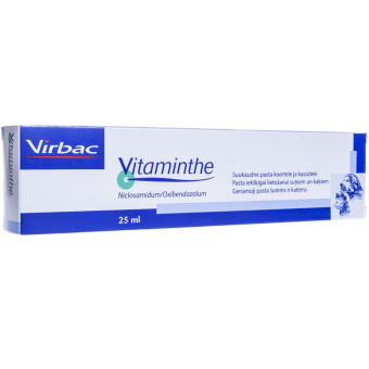 VITAMINTHE ПЕРОРАЛЬНАЯ ПАСТА 0,24G+0,03G/ML 25ML N1