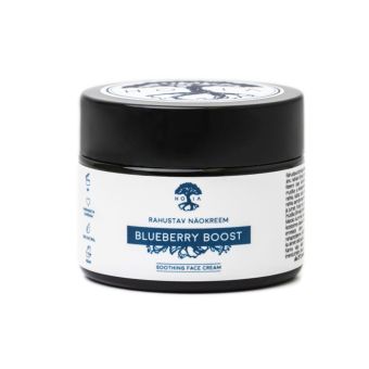 HOIA homespa Blueberry Boost крем для лица 50 мл