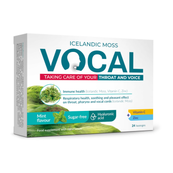 Vocal Mint пастилки с гиалуроновой кислотой N24