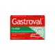 Gastroval Fluxus kapslid N15