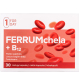 Forday FerrumChela + B12 N30