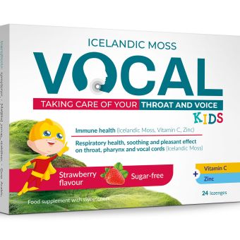 Vocal Kids леденцы со вкусом клубники N24