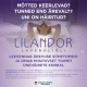 LILANDOR PEHMEKAPSEL 80MG N14